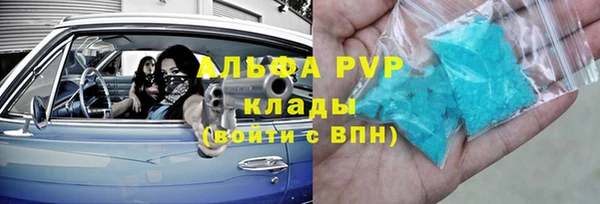 гашик Пестово