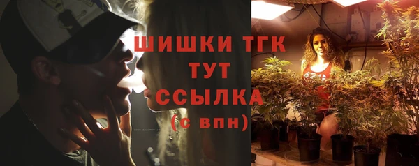 бошки Пересвет
