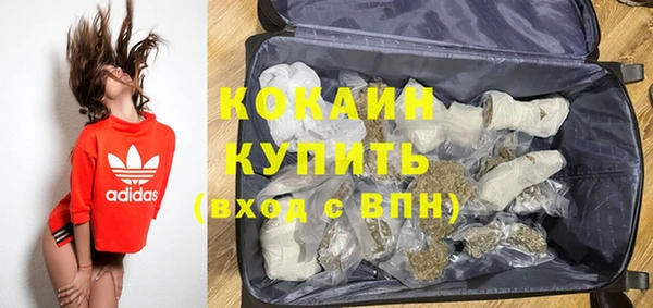 бошки Пересвет