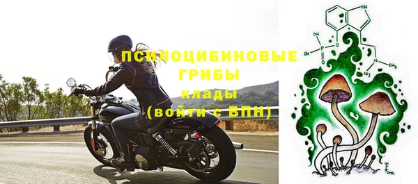 гашик Пестово