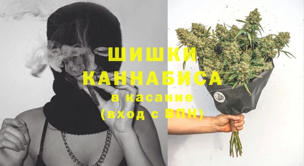 сатива Переславль-Залесский