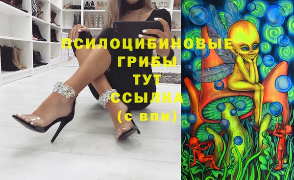 сатива Переславль-Залесский
