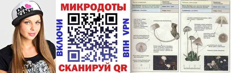 Галлюциногенные грибы прущие грибы Курчатов