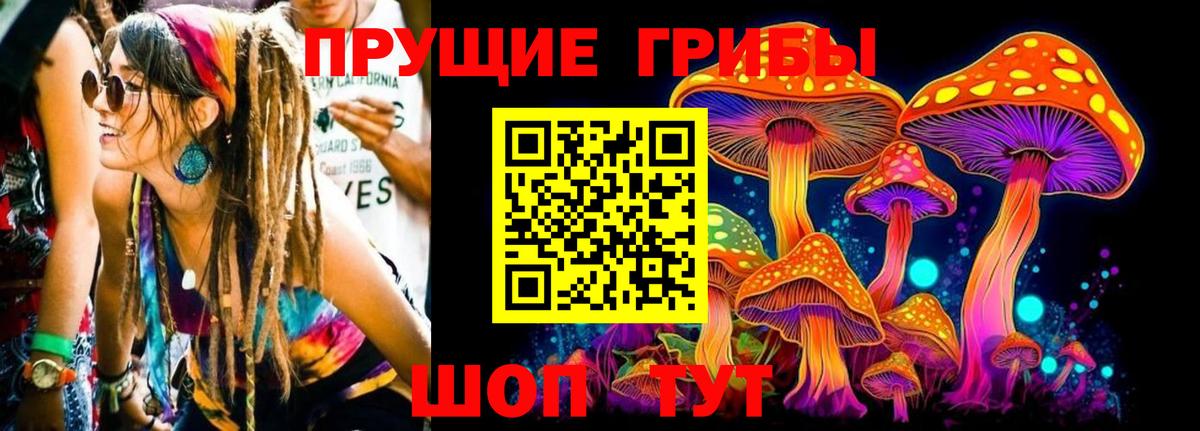 Галлюциногенные грибы прущие грибы Курчатов