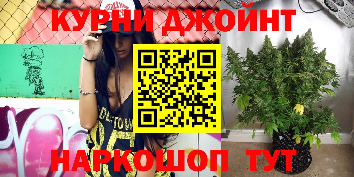 МАРИХУАНА сатива Курчатов